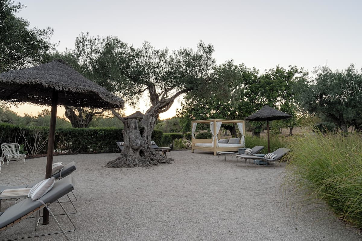 Seasonal farm‑to‑table dishes prepared with Algarve produce