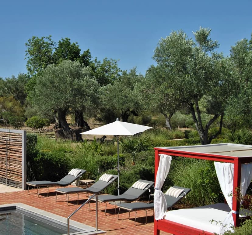 Fazenda Nova Events
